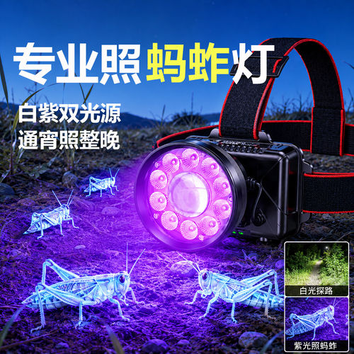 照蚂蚱专用头灯新款强光超亮照蝈蝈灯365紫光灯户外头戴式照明灯