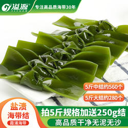 溢源盐渍海带结非干货新鲜霞浦海带扣商用批发煲汤火锅凉拌关东煮