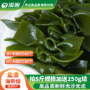 溢源盐渍海带结商用批发非特级厚非干货凉拌关东煮新鲜昆布海带扣