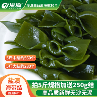 溢源盐渍海带结商用批发非特级厚非干货凉拌关东煮新鲜昆布海带扣