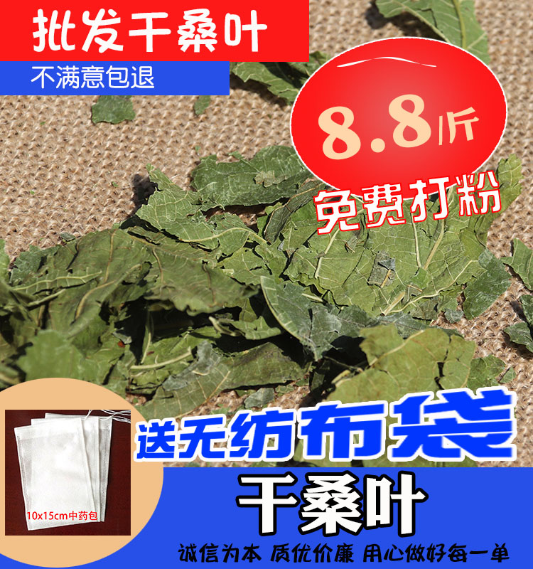 桑叶干霜桑叶茶冬桑叶新鲜非野生中药材可免费磨桑叶粉桑叶500克