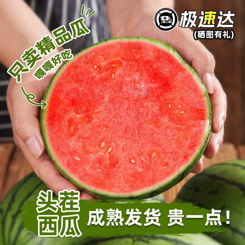【云南麒麟瓜】头茬西瓜新鲜水果当季现摘现发8424美都西瓜无籽