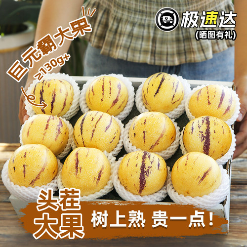 不发白果人参果皮薄爆汁黄果黄肉