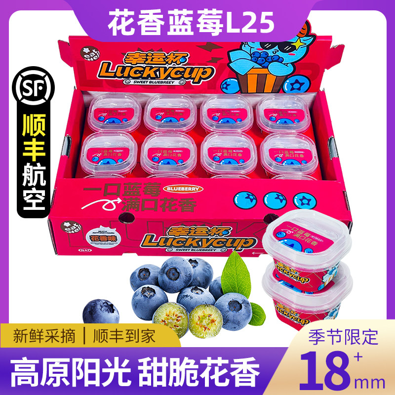 【幸运杯蓝莓礼盒】精品花香蓝莓新鲜鲜果脆甜果香浓郁礼盒装L25,水产肉类/新鲜蔬果/熟食,蓝莓,淘宝优惠券,粉丝福利购,淘宝优惠卷
