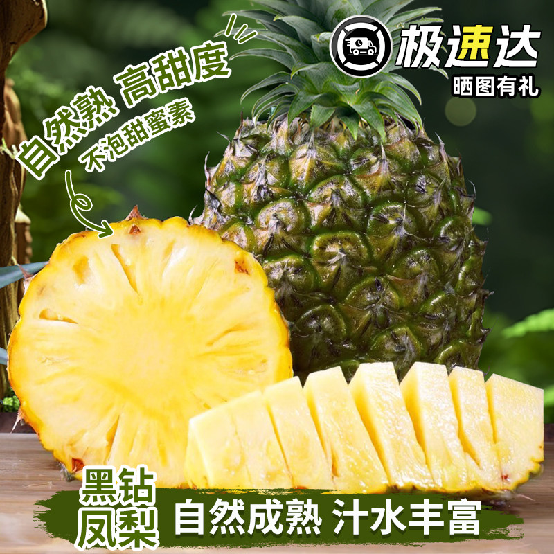 云南黑钻凤梨多汁手撕菠萝当季鲜果手撕凤梨现摘现发新鲜香甜