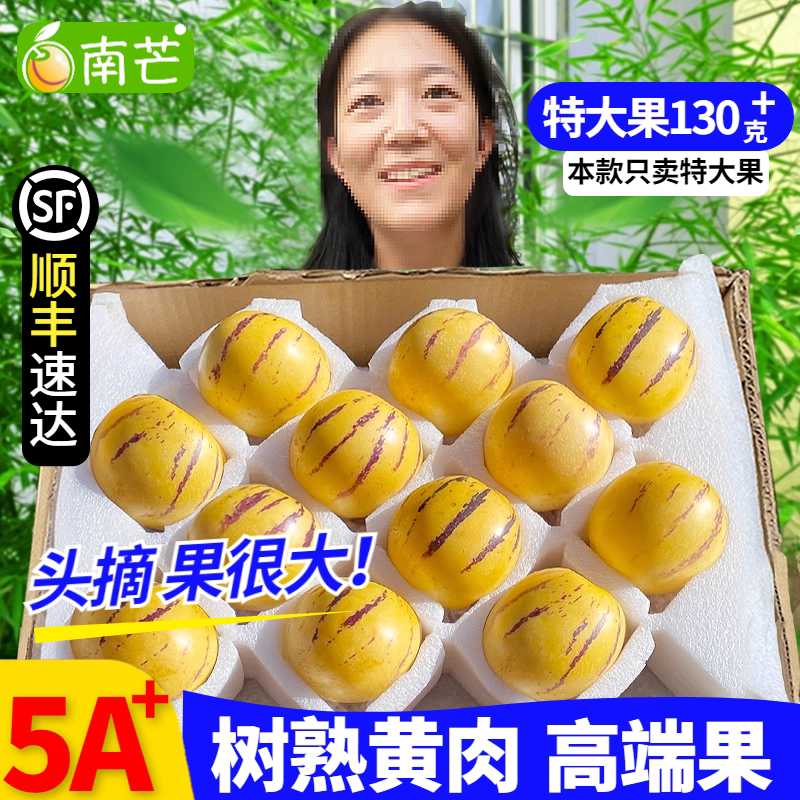 【高端特大】云南人参果水果石林人生叁果圆果树上熟黄肉新鲜大果