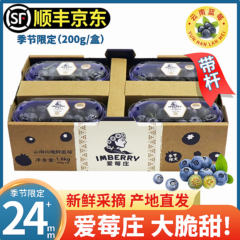 【大蓝莓】爱莓庄蓝莓 特大果皇冠枝冠稼沃爱梅庄同款云南蓝莓