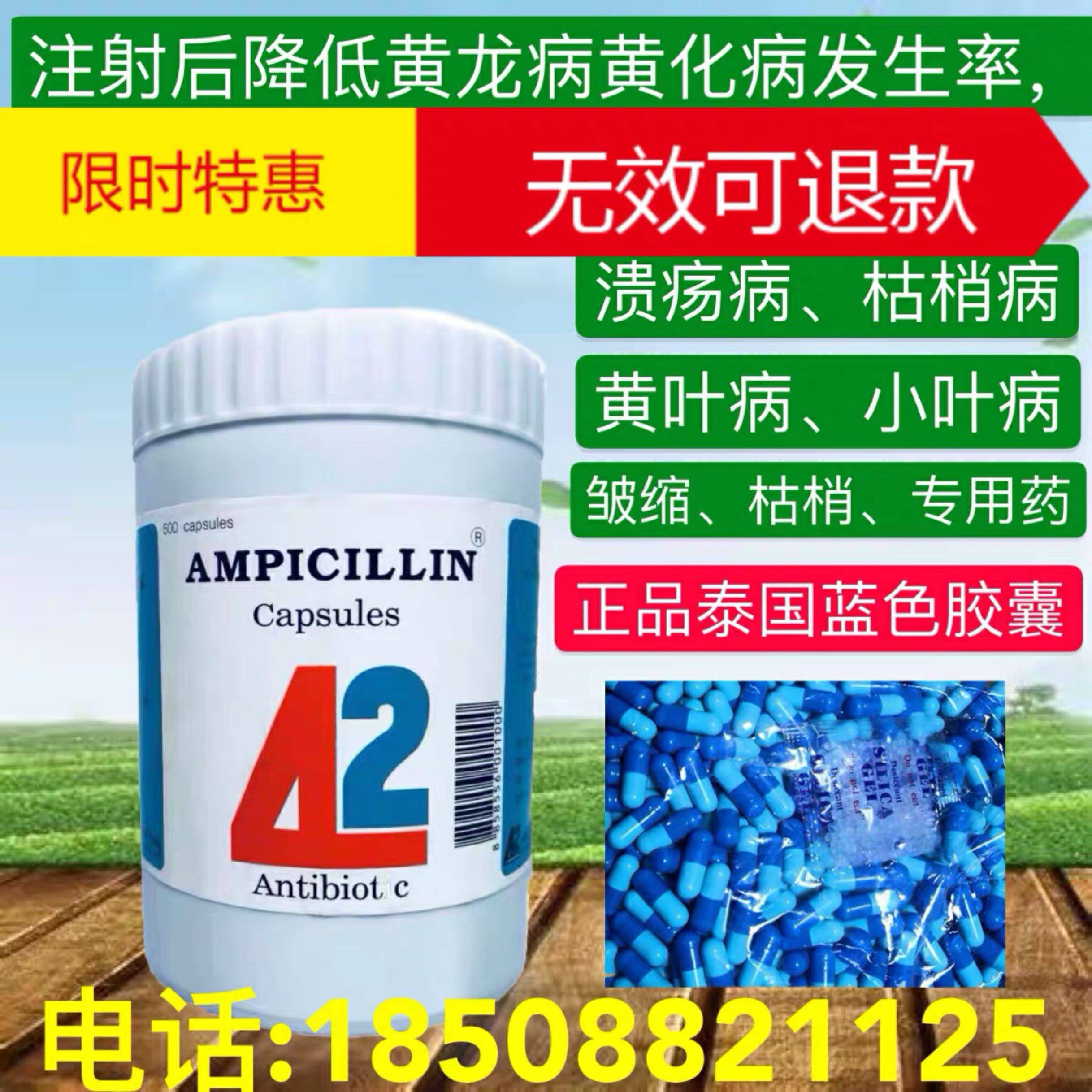 黃化病膠裹黃化柑橘樹打針柑臍橙黃龍病專用藥泰國四環素藍色膠囊在類目 農用物資, 農技服務中 - 來自Buy2taobao.com提供專業的淘寶代購服務