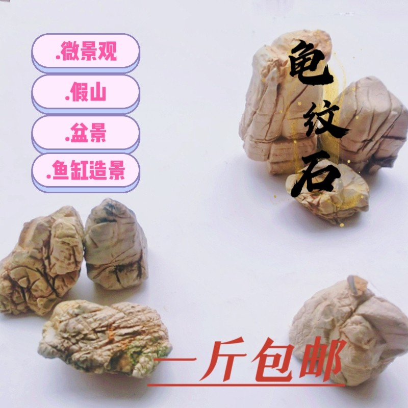 原石精品龟纹造景石水族素材免清洗盆景旱景微景观装饰小石头包邮