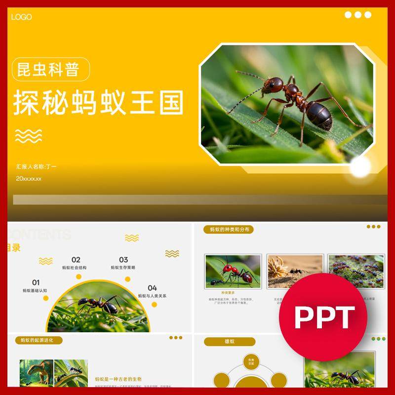 蚂蚁科普知识介绍讲解ppt昆虫自然科普班会实践PPT模板