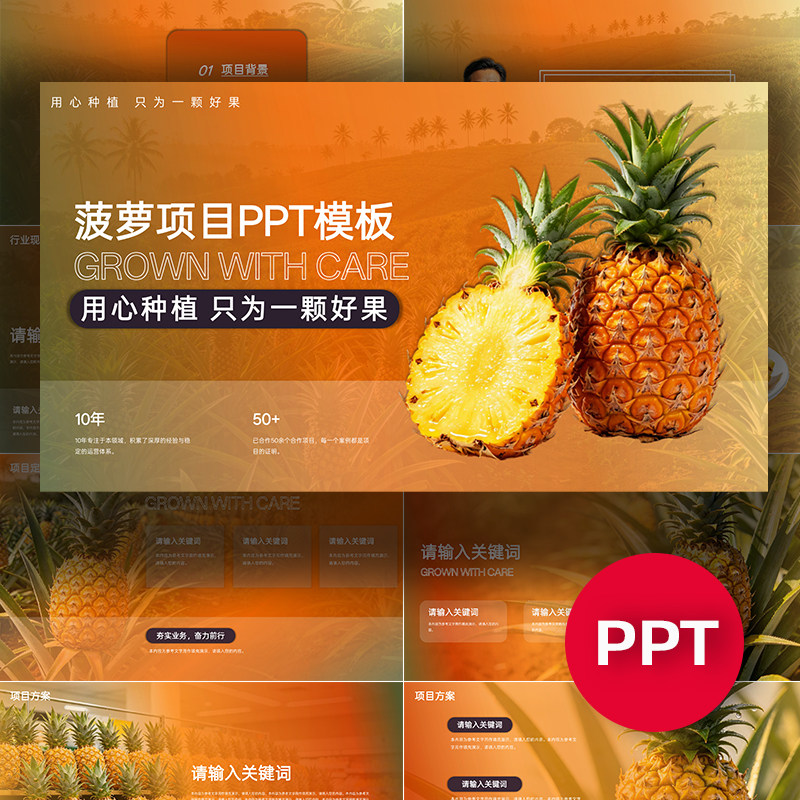 菠萝凤梨PPT菠萝项目公司企业介绍ppt模板汇报答辩农业种植路演图片