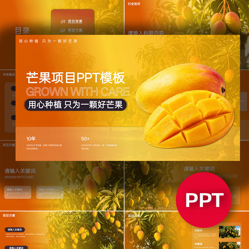 芒果PPT芒果项目公司企业介绍ppt农业种植水果答辩路演课件模板