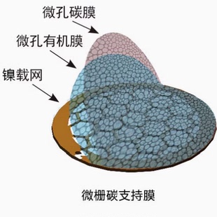 TEM电镜专用200-300目镍网裸网/碳膜/方华膜/钼网支持膜/方华膜
