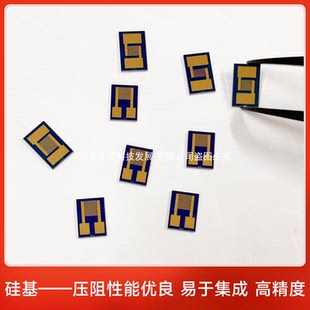 硅基叉指电极/电容阵列科研用高精度MEMS气体光敏生物传感器芯片