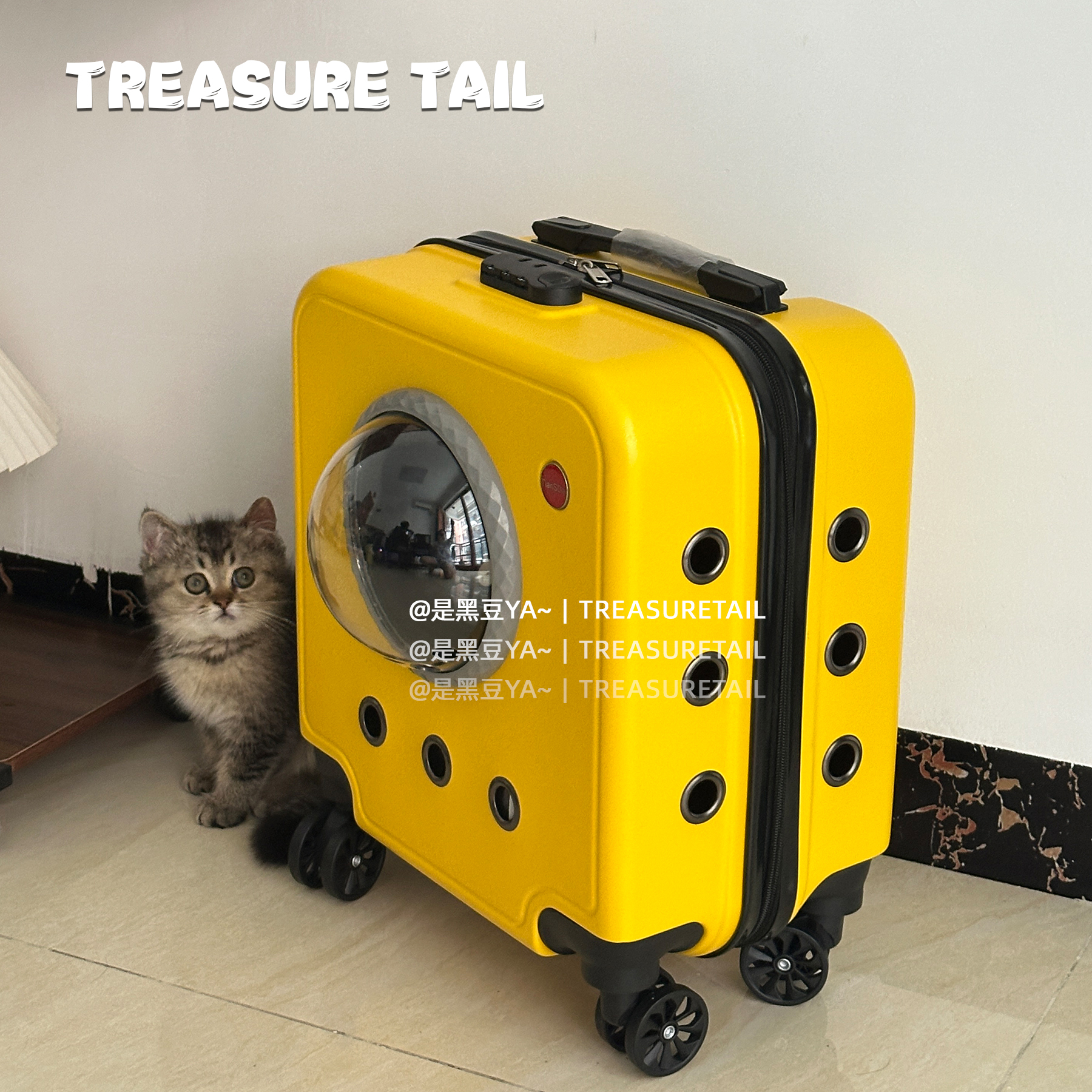 TreasureTail宠物拉杆箱