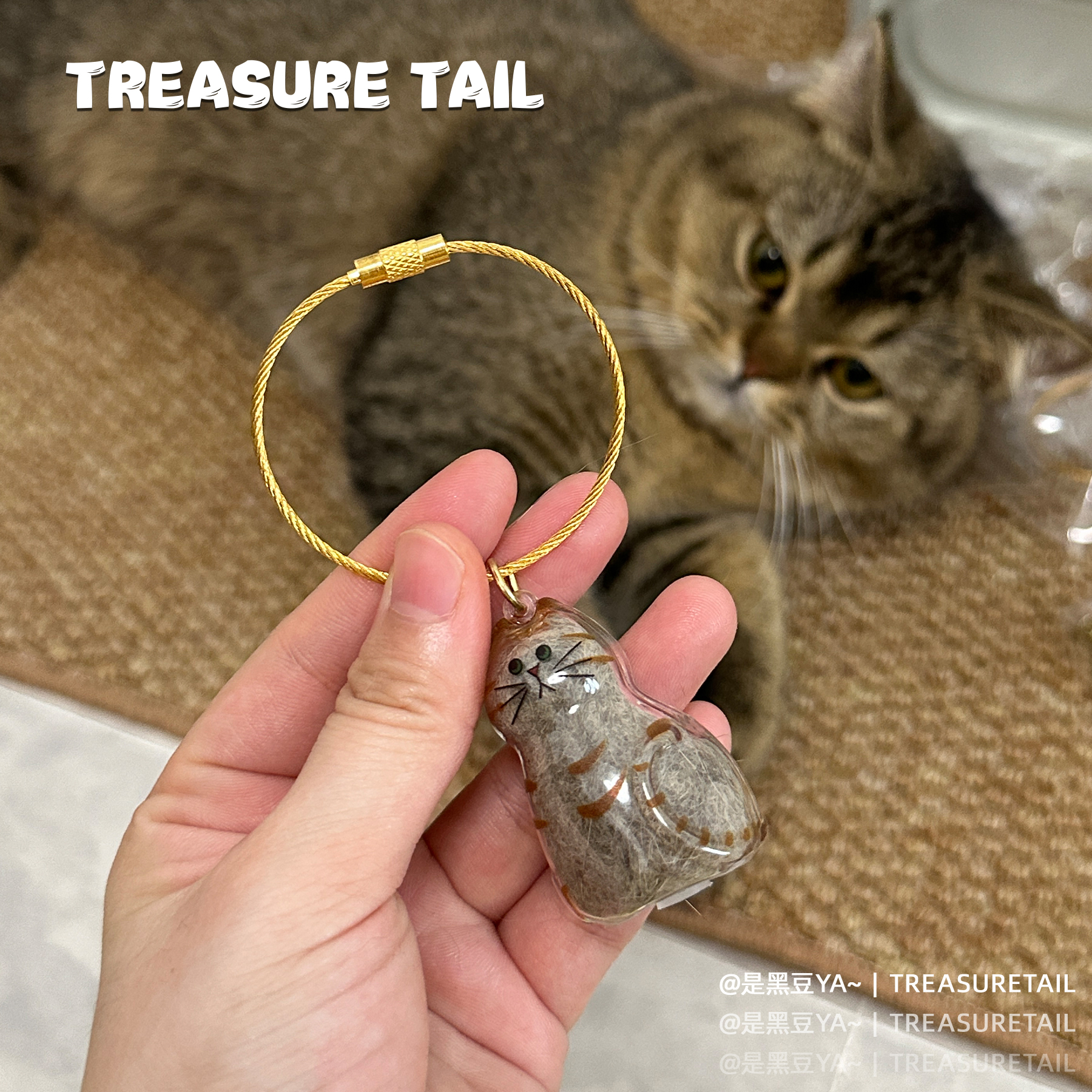 TreasureTail毛发收纳盒