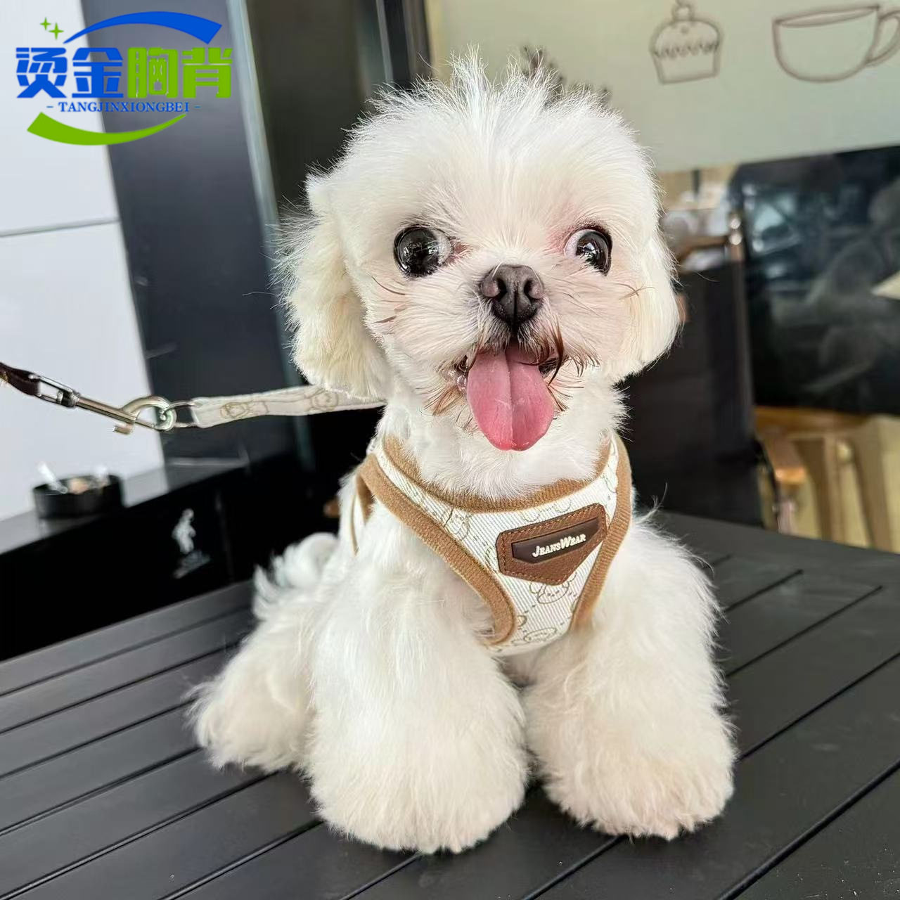 宠物狗狗胸背带透气可调