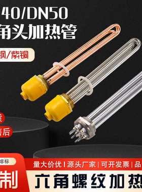 DN40DN50不锈钢工业锅炉大功率导热油电加热管水箱加热棒220/380V