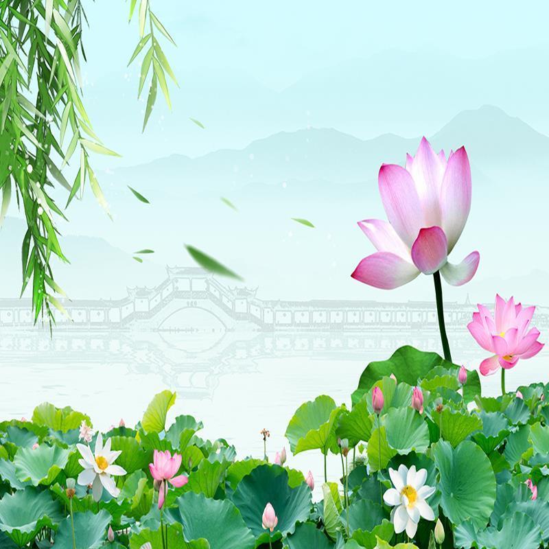 主直播间背景墙3d立体户外公园荷花竹林高级感风景短视频拍照挂布