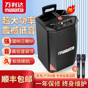 万利达音响户外音箱k歌广场舞音杆音箱演出家用唱歌直播响蓝牙拉