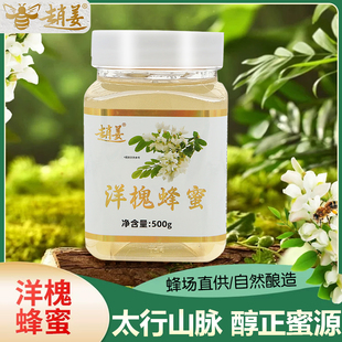 槐花蜜枣花高活性酶新鲜纯正当季 百花蜜孕妇儿童太行深山天然蜂蜜