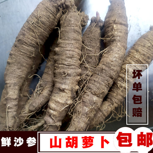 新鲜东北沙参山地瓜山胡萝卜轮叶党参朝鲜泡菜1斤500克包邮