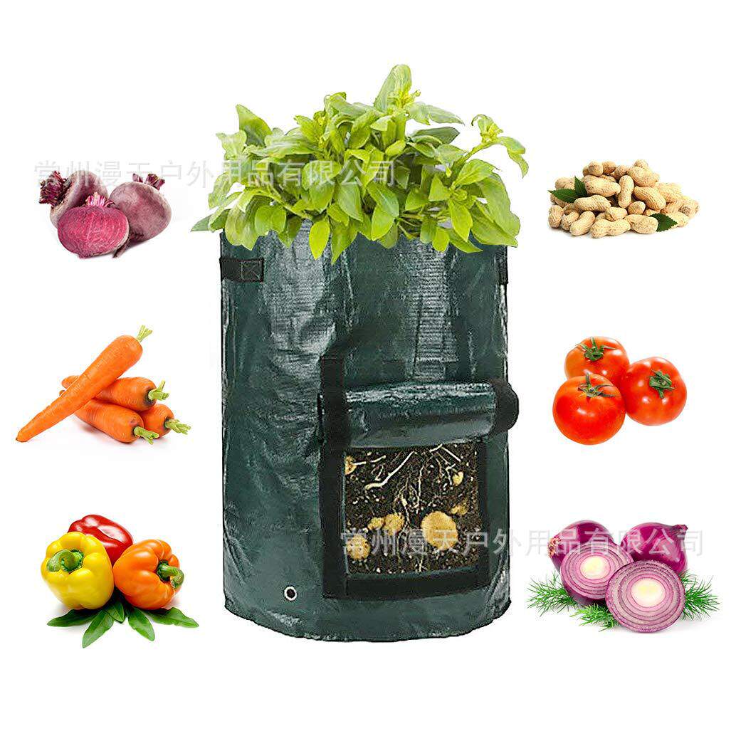 亞馬遜 家用陽台蔬菜水果種植袋 可采摘Vegetable Growing bag在類目 玩具/童車/益智/積木/模型, 戶外運動/休閒/傳統玩具, 其他戶外休閒玩具中 - 來自Buy2taobao.com提供專業的淘寶代購服務