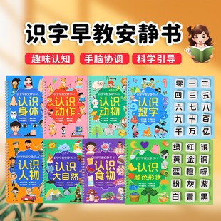 抖学匠2-6岁识字早教安静书幼儿启蒙游戏书学前认字卡粘贴魔术贴