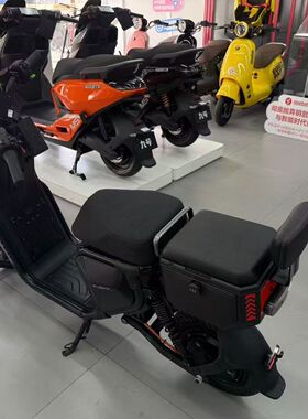 适用适用九号新款Fz3/Fz3110坐垫尾箱碳钢后备箱储物箱靠背坐垫一