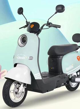 适用适用于五星钻豹优佳EB恒美eb电动车靠背尾架TDT579Z尾翼靠垫