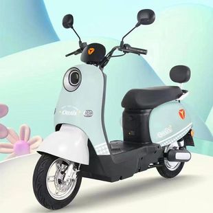 适用适用于五星钻豹优佳EB恒美eb电动车靠背尾架TDT579Z尾翼靠垫