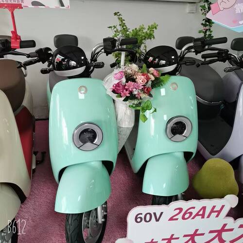 适用适新日花仙子电动车