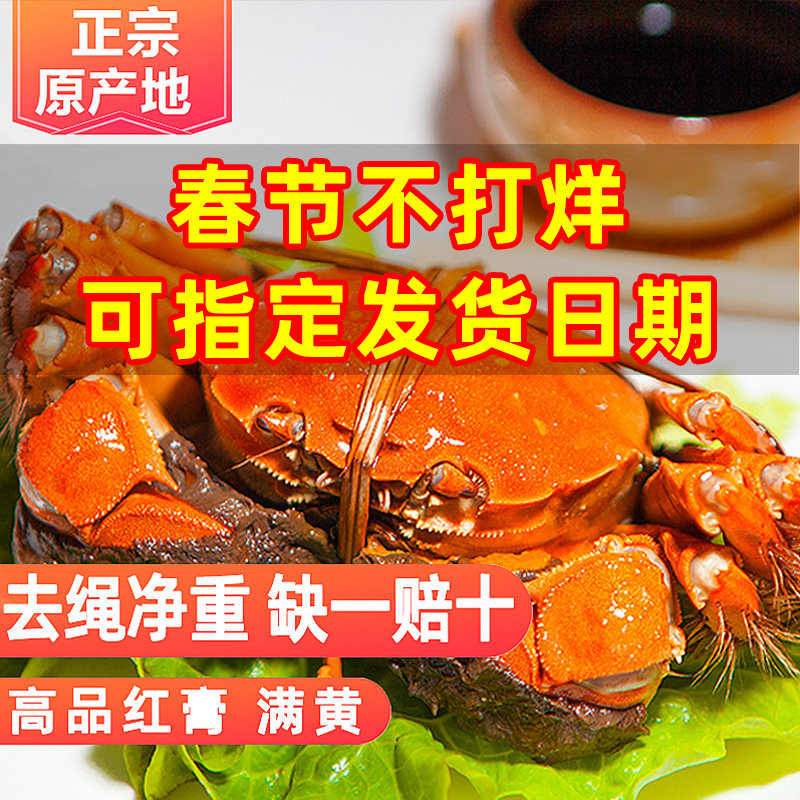【公5两母4两活蟹】奢享高品质 太湖大闸蟹鲜活现货公母螃蟹礼盒