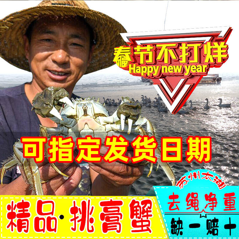 【净重公3.5两母2.5两】精品红膏太湖大闸蟹活蟹现货螃蟹8只-12只,水产肉类/新鲜蔬果/熟食,大闸蟹,淘宝优惠券,粉丝福利购,淘宝优惠卷