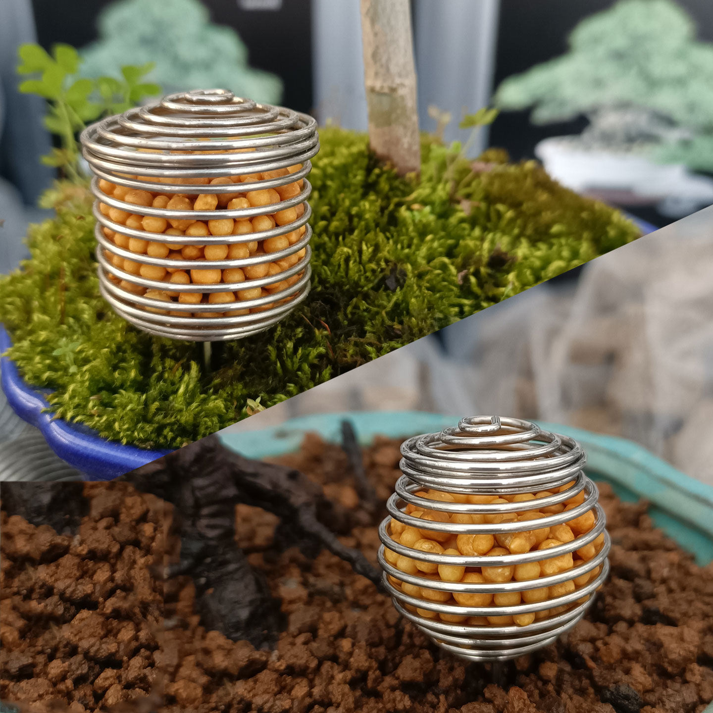 带盖玉肥盒304不锈钢肥料盒花卉兰花施肥篮缓释肥育肥盆景专用盒,鲜花速递/花卉仿真/绿植园艺,其它园艺用品,淘宝优惠券,粉丝福利购,淘宝优惠卷