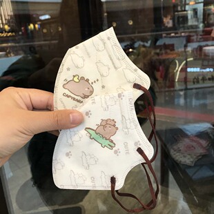 高颜值KN95大人 3d立体卡皮巴拉水豚卡通口罩亲子成人儿童独立包装