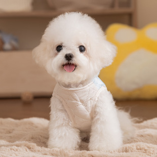 秋冬季狗狗衣服拼接格子口袋马甲可牵引冲锋棉衣中小型犬宠物衣服