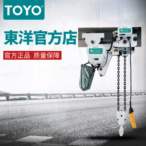 TOYO1T10吨可定做电动葫芦