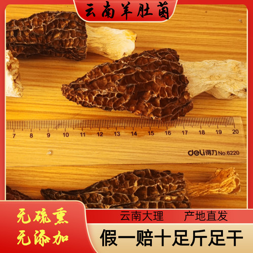 云南特产羊肚菌高原优选干货特价精品头茬煲汤食品