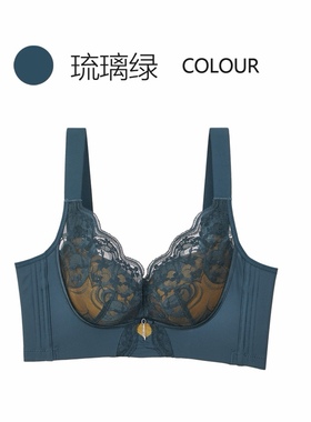 2974中厚B杯无钢圈上托防下垂聚拢舒适透气内衣女时尚性感文胸罩