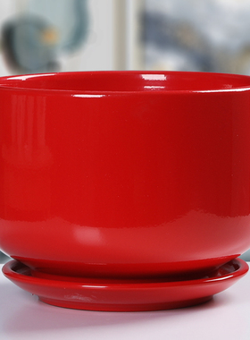 花盆陶瓷白个性创意蝴蝶兰花特大号红色带托盘家用绿萝吊兰多肉盆