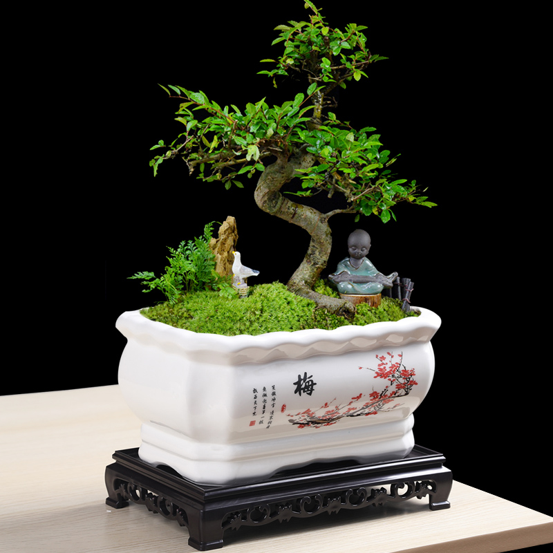 陶瓷多肉长方形大号花盆带底座