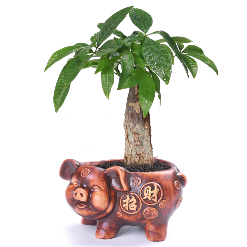 陶瓷复古椰树灵芝室内绿植花盆
