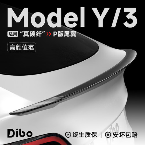 【原厂正品】真碳纤P版尾翼