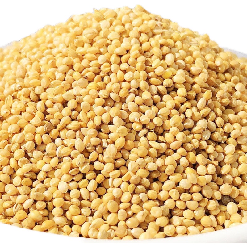 谷子鸟粮直播间拍