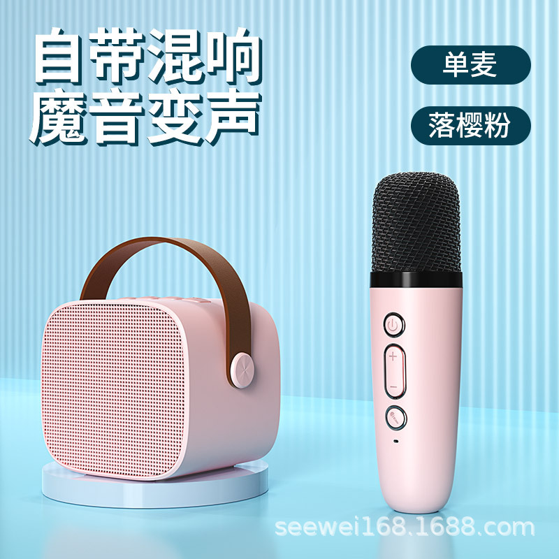 便携式 蓝牙音箱家用无线k歌音响话筒麦克风户外唱歌小型家庭ktv
