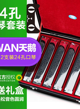 天鹅24孔复音口琴/12调套装