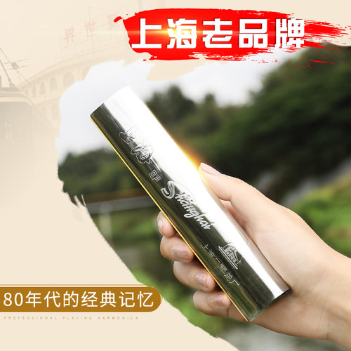 上海老牌凯恩24孔回声口琴专业演奏级高级成人C调初学者学生入门