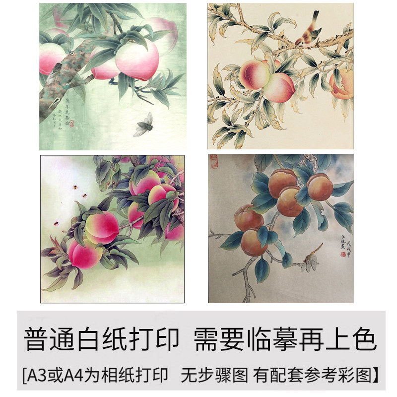 国画工笔画打印白描底稿四幅斗方寿桃初学者临摹勾线过稿上色练习
