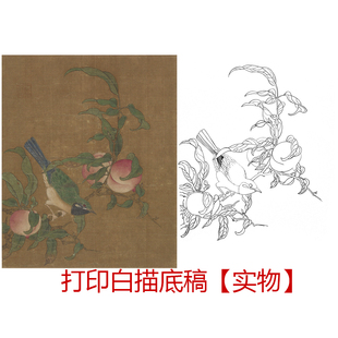 工笔画打印白描底稿古画宋画小品寿桃小鸟初学者临摹勾线透稿练习